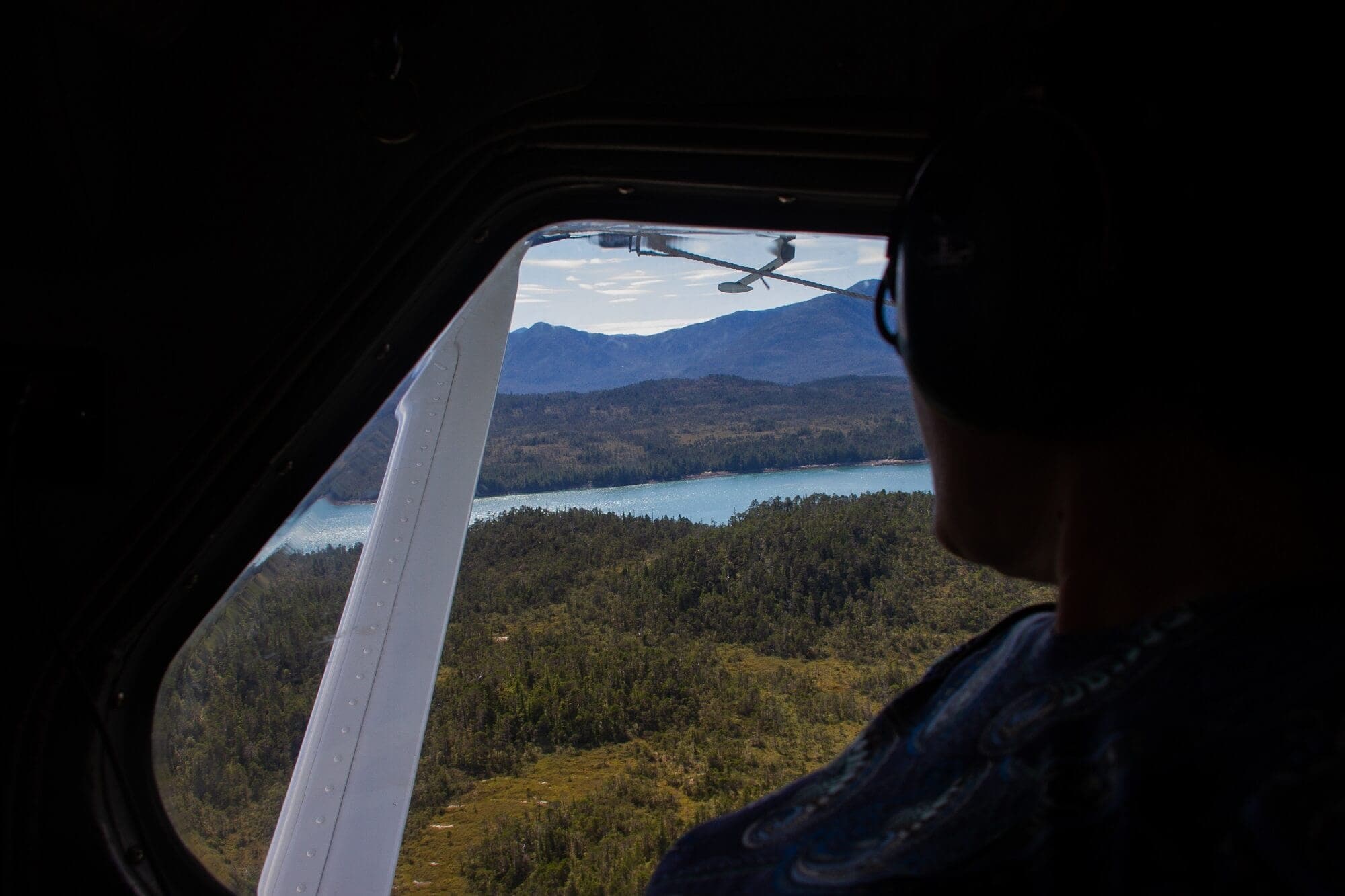 Neets Bay Bear Adventure & Flightseeing